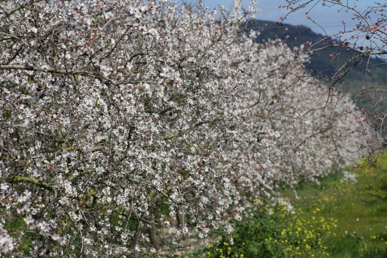 054 Finca Es Bosquerro Etv5362 By Mallorca Charme Santa Margalida Bagian luar foto